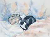Alex Fong, Kin, watercolour on paper