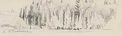 Ernest Friedrich Lindner, Untitled - Tree Sketch, graphite on paper