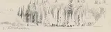 Ernest Friedrich Lindner, Untitled - Tree Sketch
