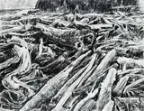 Gordon A. Smith, Untitled - Beach Logs, charcoal on paper