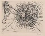 Don Quixote and Sea Urchin #E/A by Salvador Dalí, 1971, etching on paper, sold Sep 2011
