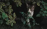 Richard Morsette, Untitled - Peek a Boo Cat, oil on wood board
