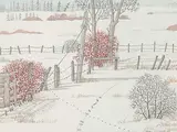 Hazel Georgina Litzgus, Fox Tracks and Shadows, 1983, watercolour on paper