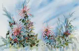 Errol Brimacombe, Siberian Asters