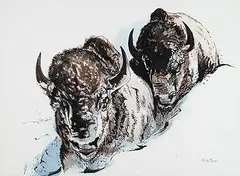 Marion Davie, Untitled - Two Buffalo, watercolour on paper