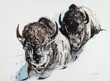 Marion Davie, Untitled - Two Buffalo, watercolour on paper