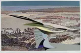 Ivan Eyre, Field Point #72/100, colour lithograph on paper