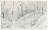 Terry Lynn Fenton, Wood Magic