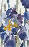 Annie Froese, Regal Petals, 1997, watercolour on paper