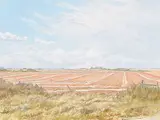Gus Froese, Untitled - Prairie Skies, 1980, oil on canvas
