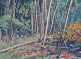 William Duma, Morning Light