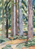 Illingworth Kerr, Young Redwoods No. 1