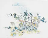 Dorothy Knowles, Untitled - Prairie Flowers