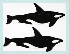David Thauberger, Whale Print #40/150, 1979, colour silkscreen on paper