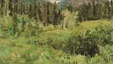 Terry Lynn Fenton, Mountain Greenery