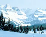 Ted Raftery, Lake O'Hara