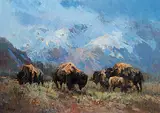 Jack Elmo King, Untitled - Buffalo in the Mountains