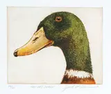 Jack Lee Cowin, Mallard Drake #20/30