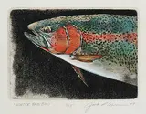 Winter Rainbow #A.P. by Jack Lee Cowin, 1989, hand coloured etching on paper, sold Oct 2010