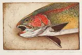 Jack Lee Cowin, Rainbow Trout Study #A.P.