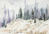 James Stanford Perrott, Coleman Highway Snow