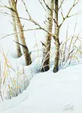 Ted Tilby, Untitled - First Snow, 1974, watercolour on paper