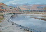 Donald Watson, Goosanders Southwick Burn, 1951, watercolour on paper