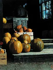 Alan Wylie, Jack O'Lanterns, oil on board