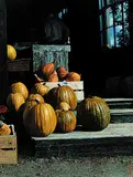 Alan Wylie, Jack O'Lanterns, oil on board