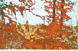 William Harry Lobchuk, The Great North West Series - Yellowknife Road #15/50, 1980, colour silkscreen on paper