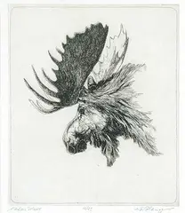 Warner R. Plangg, Alaskan Moose #12/25, etching on paper