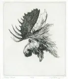 Warner R. Plangg, Alaskan Moose #12/25, etching on paper