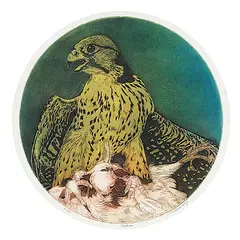 David Silverberg, Falcon #8/50, colour etching on paper
