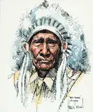 Harley W. Brown, Bull Plume, Peigan