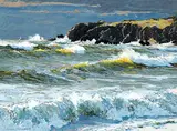 Horace Champagne, Flying Surf - Trout River, Gros Morne, Nat. Park, Newfoundland