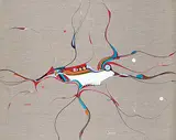 Alex Janvier, White Fox