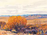 William Duma, Bright Patch