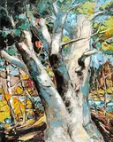 Hans Herold, Tree From Emma Lake, 1974, acrylic on canvas