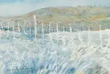 Jack Rigaux, Hoar Frost Near Cochrane