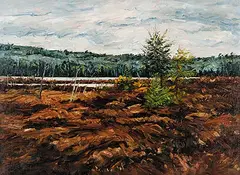 Bruce Steinhoff, Tamarack Marsh, Algonquin, 1980, oil on canvas