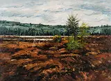 Bruce Steinhoff, Tamarack Marsh, Algonquin, 1980, oil on canvas