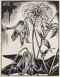 Henry Eric Bergman, Wild Clematis