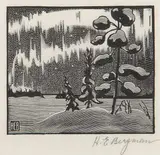 Henry Eric Bergman, Northern Lights