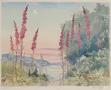 Beatrice Emma Adelaide Fry, Summer Evening [Tall Fireweed] #13/30, 1944, colour lino block on paper
