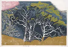 Alistair Macready Bell, Rain Forest Edge #1/25, 1986, colour wood block on paper