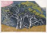 Alistair Macready Bell, Rain Forest Edge #1/25, 1986, colour wood block on paper