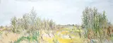 Hendrik Bres, South of Pebble Creek, Edmonton