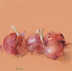 Pedro Cano, Onions, mixed media on paper