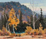 William Parsons, Algoma, Near Wawa