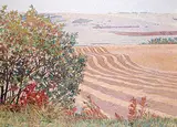 Walter Drohan, Road Side Bouquet, 1988, oil on canvas